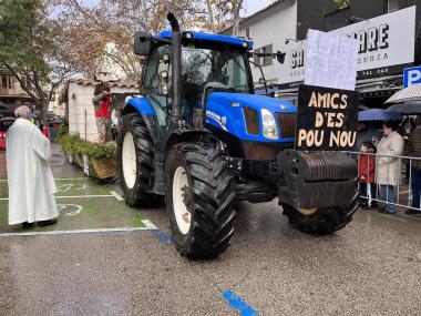 Beneïdes de Manacor 2025