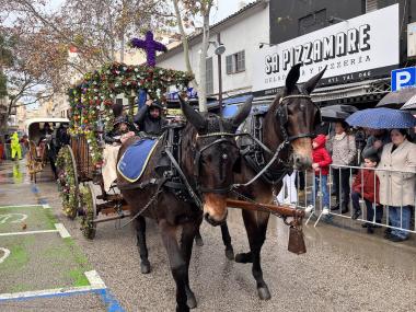 Beneïdes de Manacor 2025