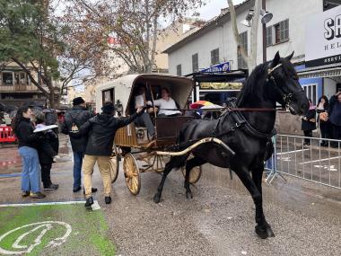 Beneïdes de Manacor 2025