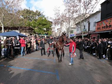 Beneïdes a Manacor 2012