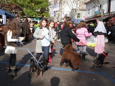 Beneïdes a Manacor 2012