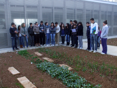 La Setmana de l’Arbre a Manacor s’inicia amb dos tallers d’horts ecològics a Manacor i una jornada de plantació d’arbres a Porto Cristo