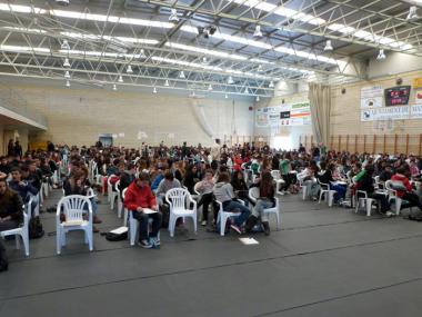 Cangur a Manacor
