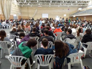 Cangur a Manacor