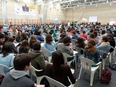 Cangur a Manacor