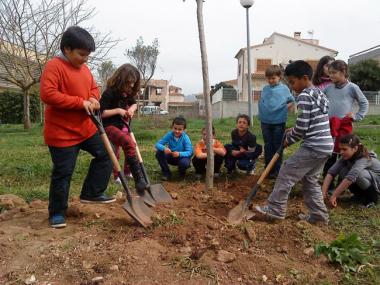 Els escolars i ciutadans gaudeixen de les activitats realitzades en el marc de "La setmana de l’arbre a Manacor"