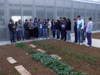 Els escolars i ciutadans gaudeixen de les activitats realitzades en el marc de "La setmana de l’arbre a Manacor"