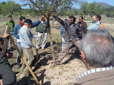 Els escolars i ciutadans gaudeixen de les activitats realitzades en el marc de "La setmana de l’arbre a Manacor"