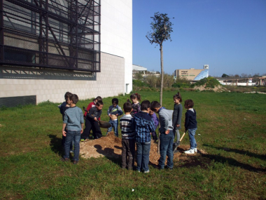 Els escolars i ciutadans gaudeixen de les activitats realitzades en el marc de "La setmana de l’arbre a Manacor"