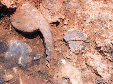 Projecte "Entre Illes". Excavació al jaciment prehistòric de sa Ferradura (Porto Cristo)