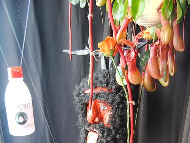 FLORISTERIA SA MORERA, ACONSEGUIEX EL  1ER PREMI DEL CONCURS DE MOSTRADORS  SANTANTONIERS 