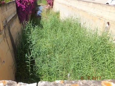 Manacor exigeix al Govern fer nets els torrents més bruts per evitar els mals que provoquen les torrentades