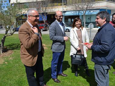 Una olivera de 25 anys recorda que fa un quart de segle que el municipi de Manacor manté el repte de gestionar bé els residus 