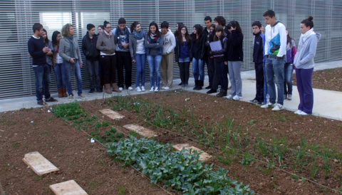 La Setmana de l’Arbre a Manacor s’inicia amb dos tallers d’horts ecològics a Manacor i una jornada de plantació d’arbres a Porto Cristo
