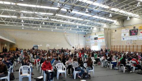 Cangur a Manacor