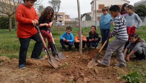 Els escolars i ciutadans gaudeixen de les activitats realitzades en el marc de "La setmana de l’arbre a Manacor"