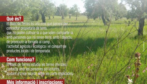 EINES CONTRA LA CRISI: MANACOR CREA EL "BANC DE TERRES"