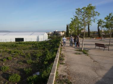 El nou skatepark es construirà al polígon agroalimentari. 
