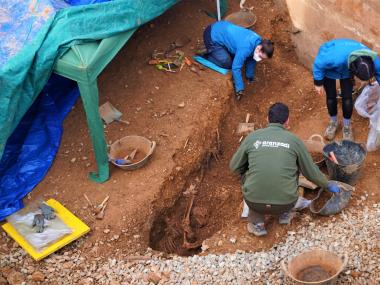 Els arqueòlegs continuen trobant ossos a Son Coletes. 