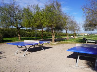 Taules de ping-pong instal·lades al parc de na Molla. 