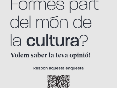 Enquesta online difosa pel departament de Cultura de l'Ajuntament de Manacor. 