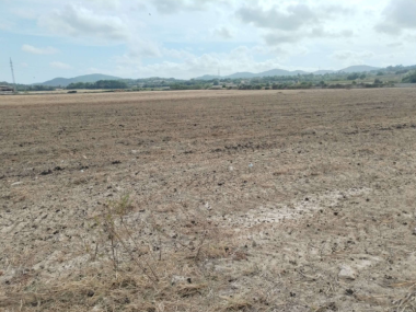 L’Ajuntament de Manacor ha traslladat a la Direcció General d’Agricultura, Ramaderia i Desenvolupament Rural la informació relativa a una possible mala pràctica en la gestió de gallinassa en una finca rústica del terme municipal. 