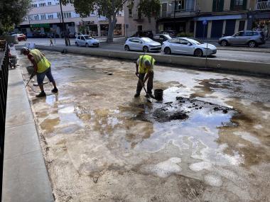 Les tasques han començat aquest primer d'octubre. 