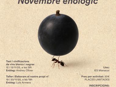 Novembre enològic 2025
