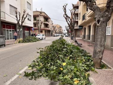 Actuacions a l'avinguda de Baix des Cós, on s'hi sembraran 23 nous arbres. 