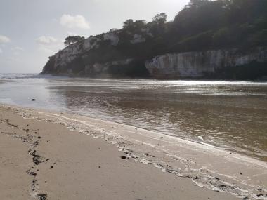 Llevantada Harry al municipi de Manacor 