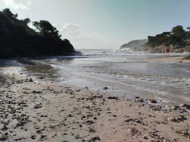 Llevantada Harry al municipi de Manacor 