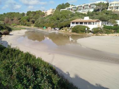 Llevantada Harry al municipi de Manacor 