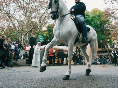 Beneïdes de Manacor 2026. 