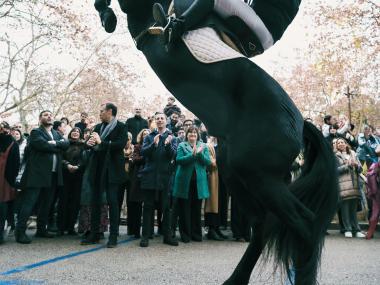 Beneïdes de Manacor 2026. 