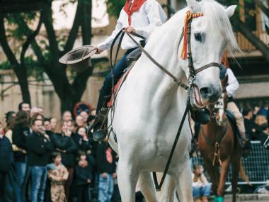 Beneïdes de Manacor 2026. 