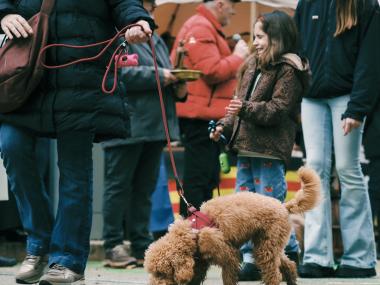 Beneïdes de Manacor 2026. 
