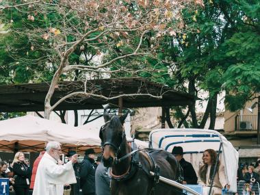 Beneïdes de Manacor 2026. 