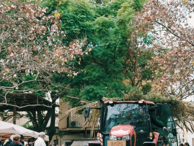 Beneïdes de Manacor 2026. 