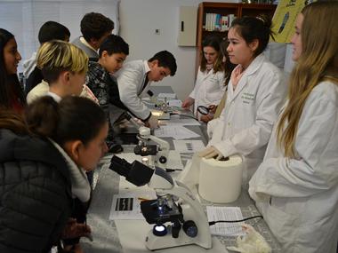 La fira Experimenta que organitza l’IES Manacor fa acostar milers d’estudiants de tot Mallorca a la ciència i la tecnologia