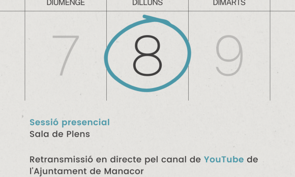 Ple ordinari juny de 2026. 
