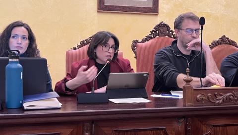 Carme Gomila, durant el seu darrer Ple. 