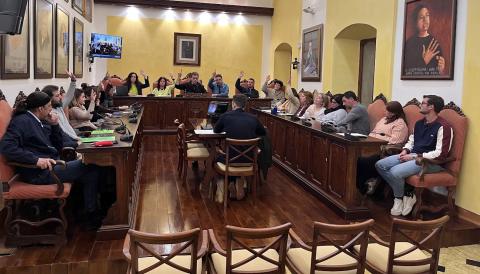 Moment de votació de la proposta en el ple d'aquest dimarts. 