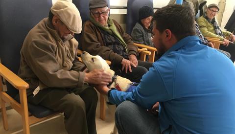 Els usuaris dels Centres de Dia del municipi gaudeixen de sessions terapèutiques amb animals de companyia